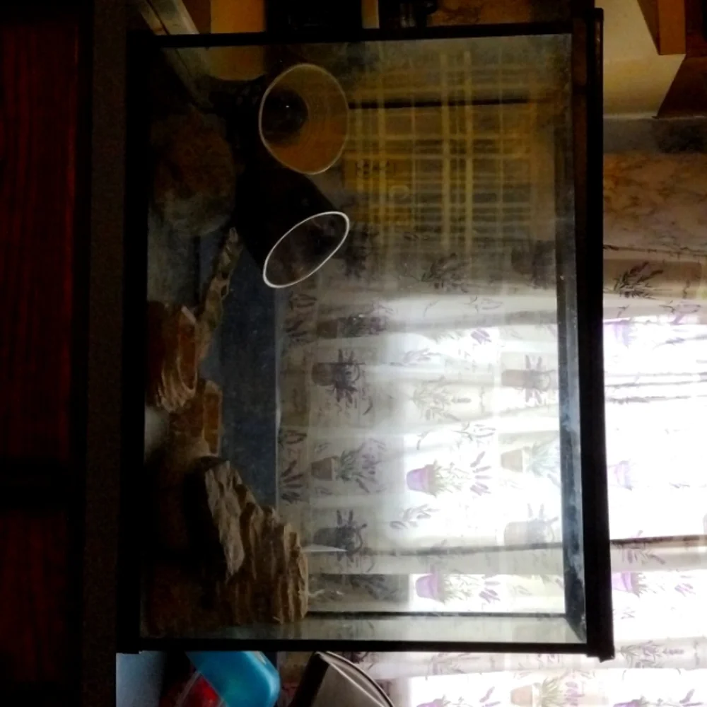 100 gallon fish tank reptile